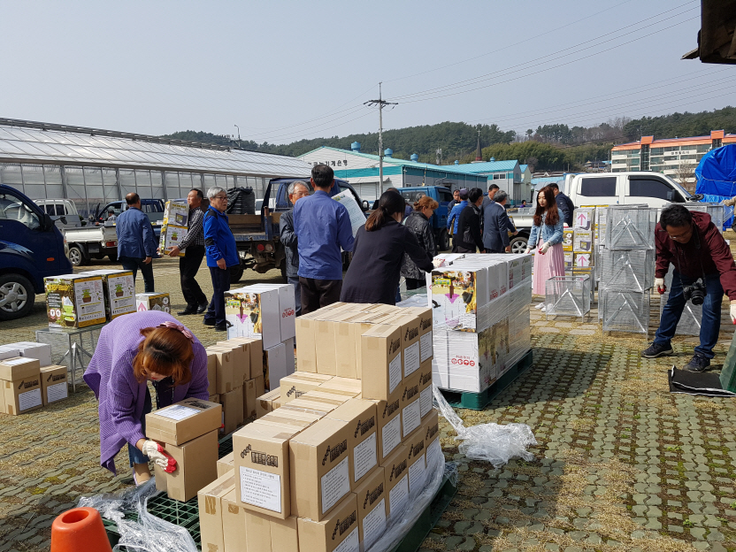 꾸미기_(2일) 서천군, 봄철 조기방제로 골칫덩이 등검은말벌 물리친다!(양봉자재배부모습)