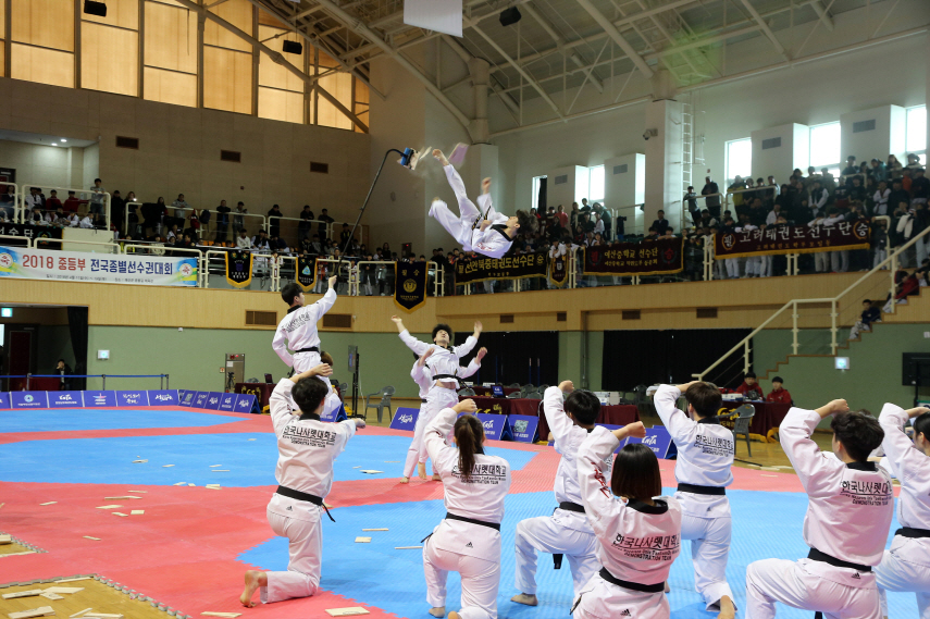 꾸미기_(3일) 서천군, 충남 태권도 꿈나무 열전 개최(지난달 22일부터 25일까지 열린 제29회 충청남도교육감기 태권도대회 모습 1)