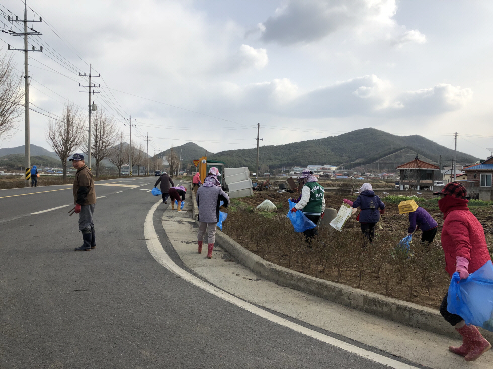 꾸미기_(9일) 종천면 장구3리 마을주민, 새봄맞이 일제 대청소 실시 (장구3리 주민들이 장구사거리 도로변 쓰레기 줍는 모습)