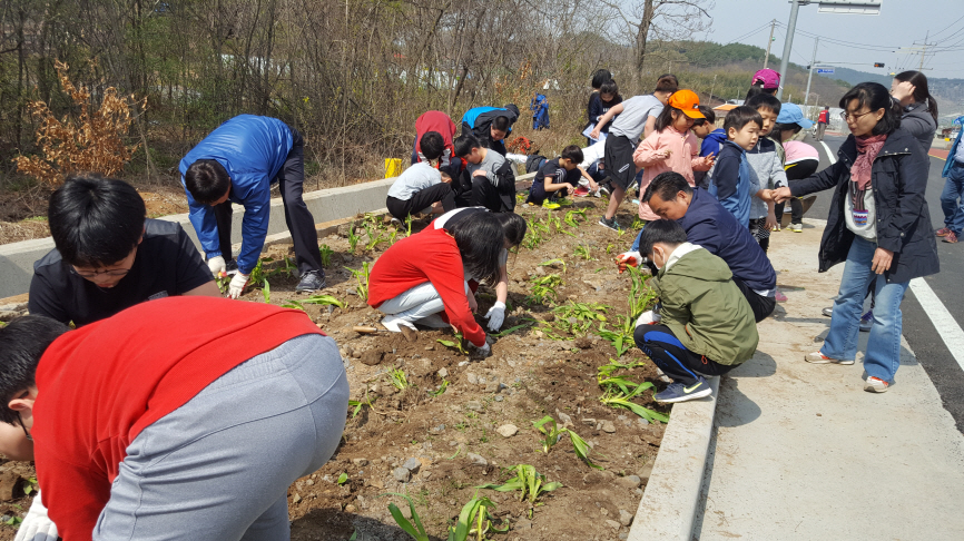 꾸미기_(18일) 종천면, 식재행사 및 산불예방캠페인 실시(식재행사)