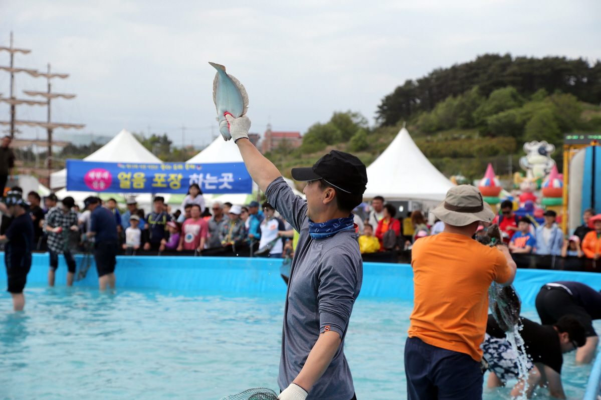 꾸미기_(8일) 서천군 자연산 광어도미 축제 이번 주말 막 열린다 (지난해 축제 모습)