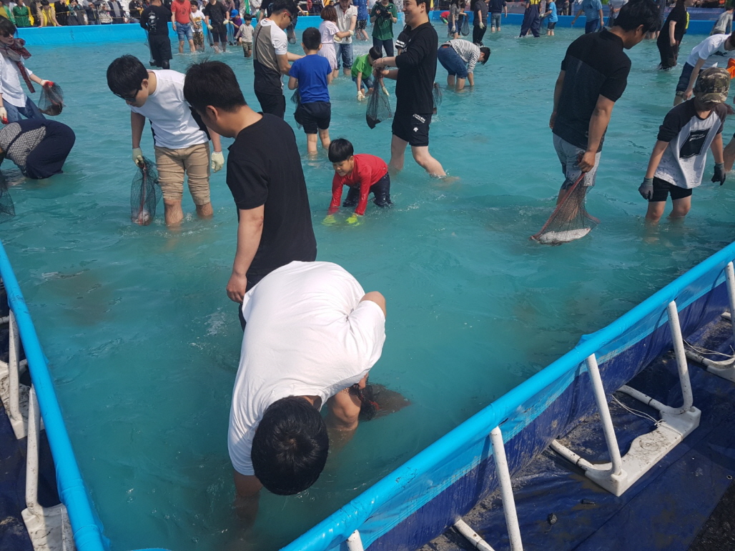 꾸미기_(17일) 서천군, 광어도미가격 다운, 축제분위기 업(광어잡기체험모습)