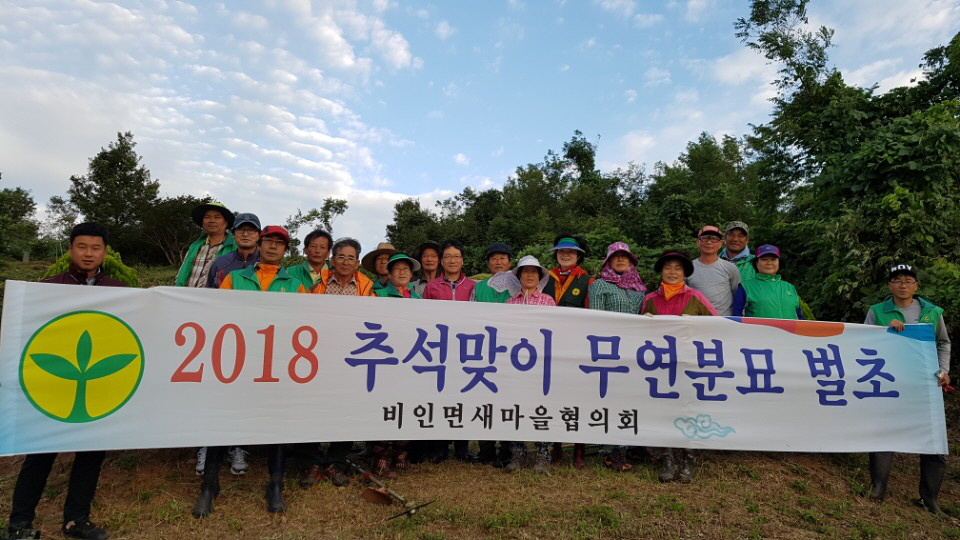 사진(13일) 화양면, 비인면 새마을회 무연분묘 벌초 (비인면 모습) (2)