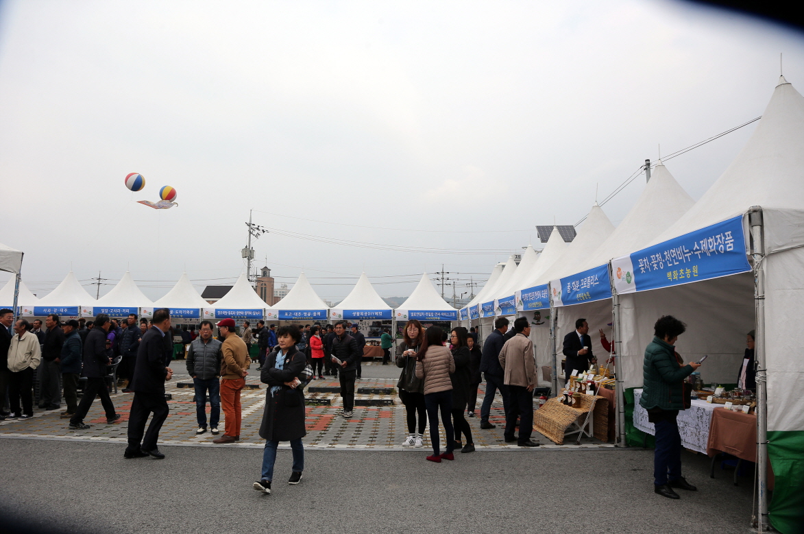 사진(12일) 서천군, 농상품 홍보 판매전 성황리 종료 1