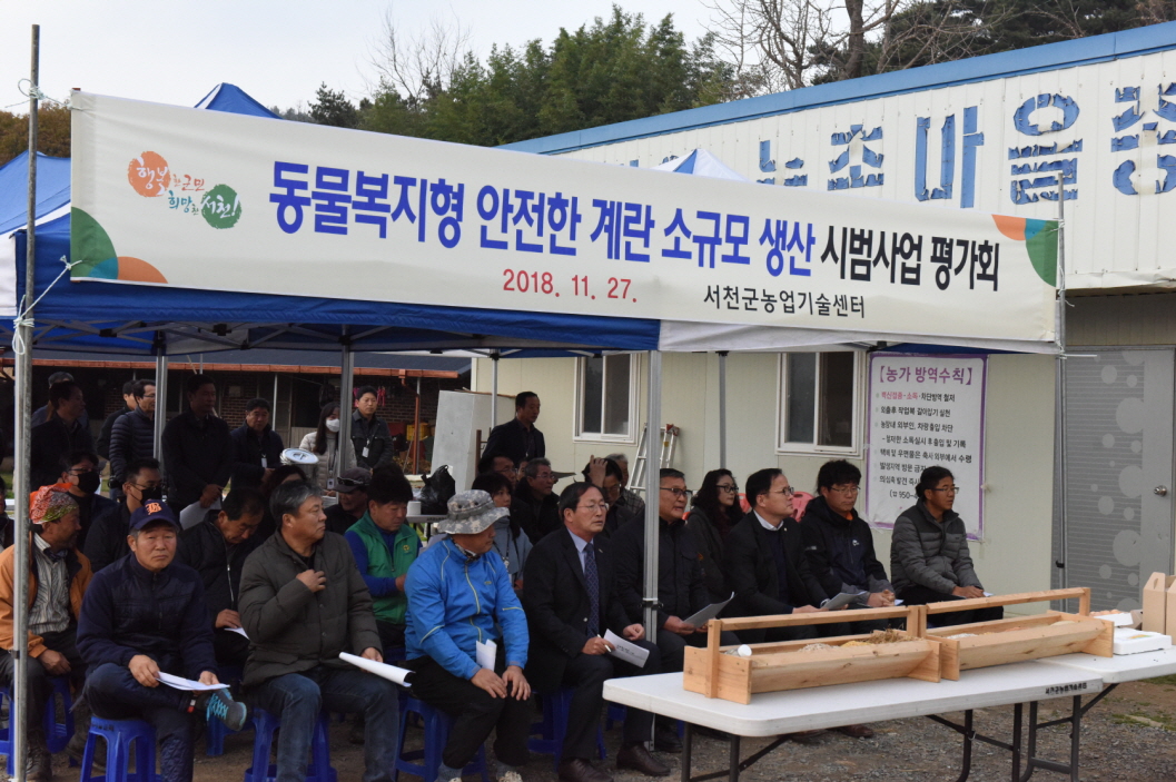 서천군, “동물복지 사육방식으로 생산된 계란 믿고 드세요!”