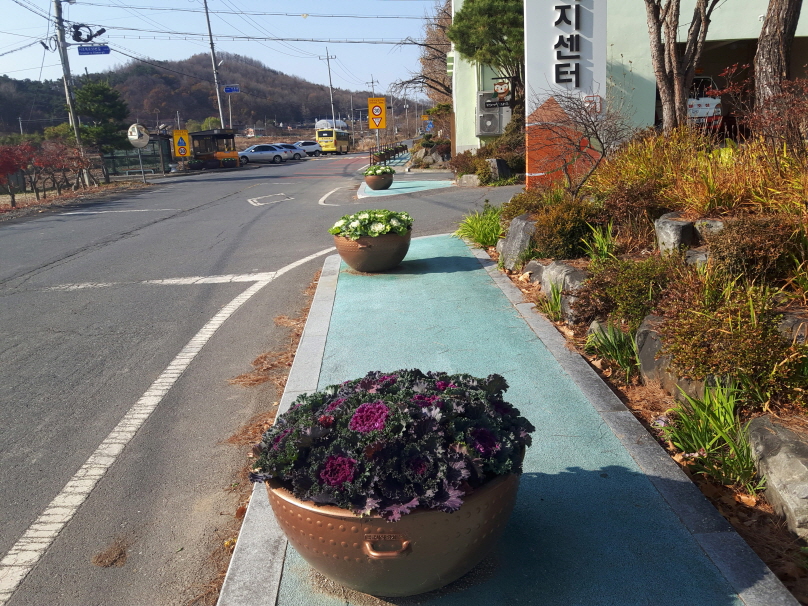 시초면, 막바지 국토공원화사업 실시