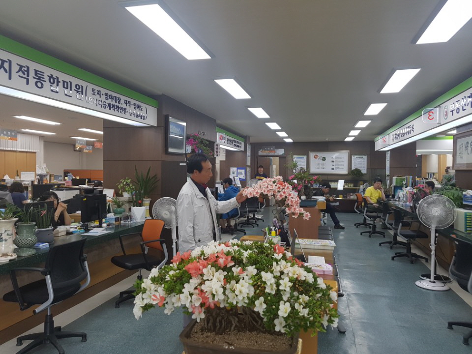 서천군, 민원실 철쭉 꽃향기 한가득!