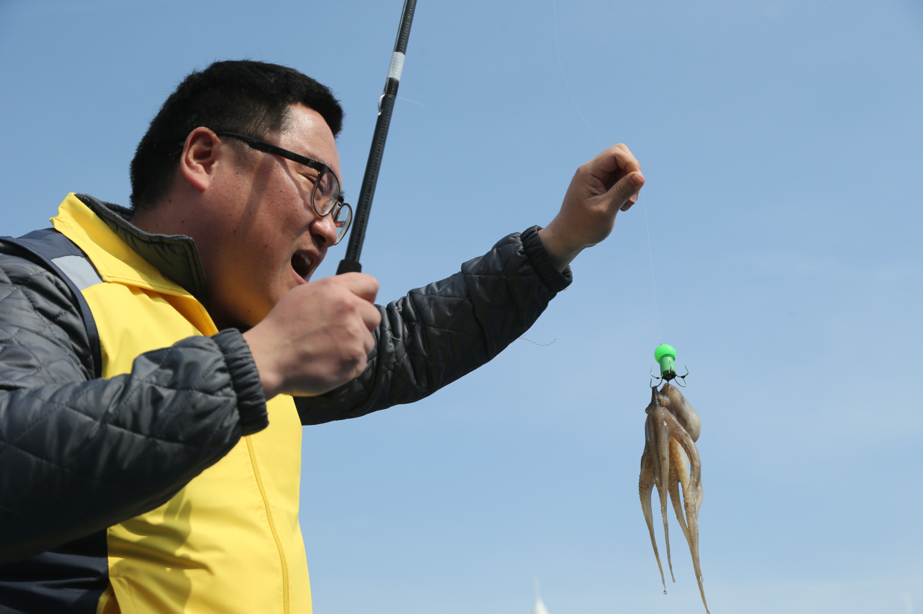 ‘꽃, 맛에 취하다’ 제19회 서천 동백꽃 주꾸미 축제 성료