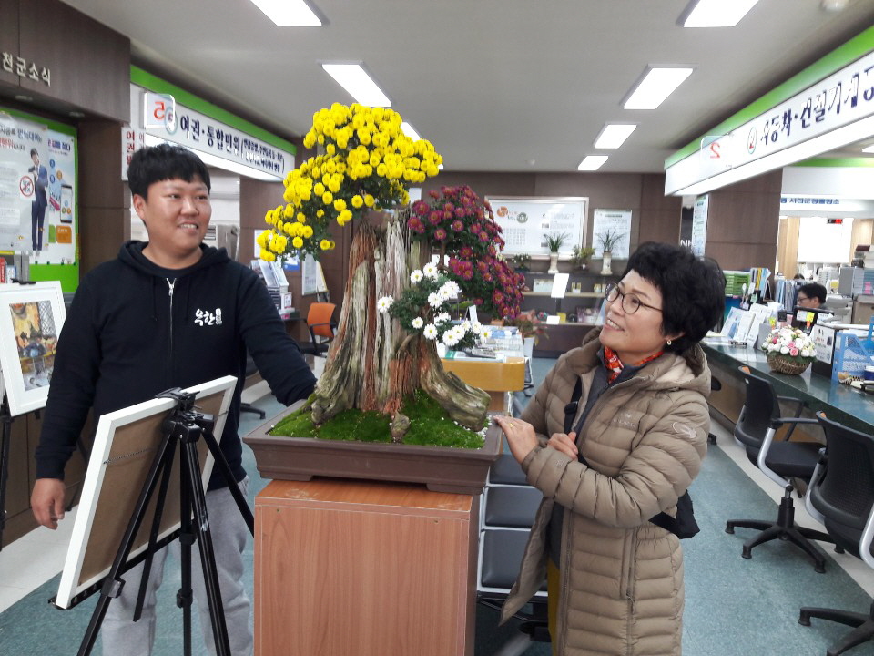서천군 민원실, “국화 향기가 굿입니다 굿!”