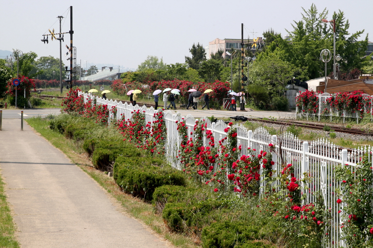 서천군, ‘황금의 도시, 장항! 향미미션여행’ 운영