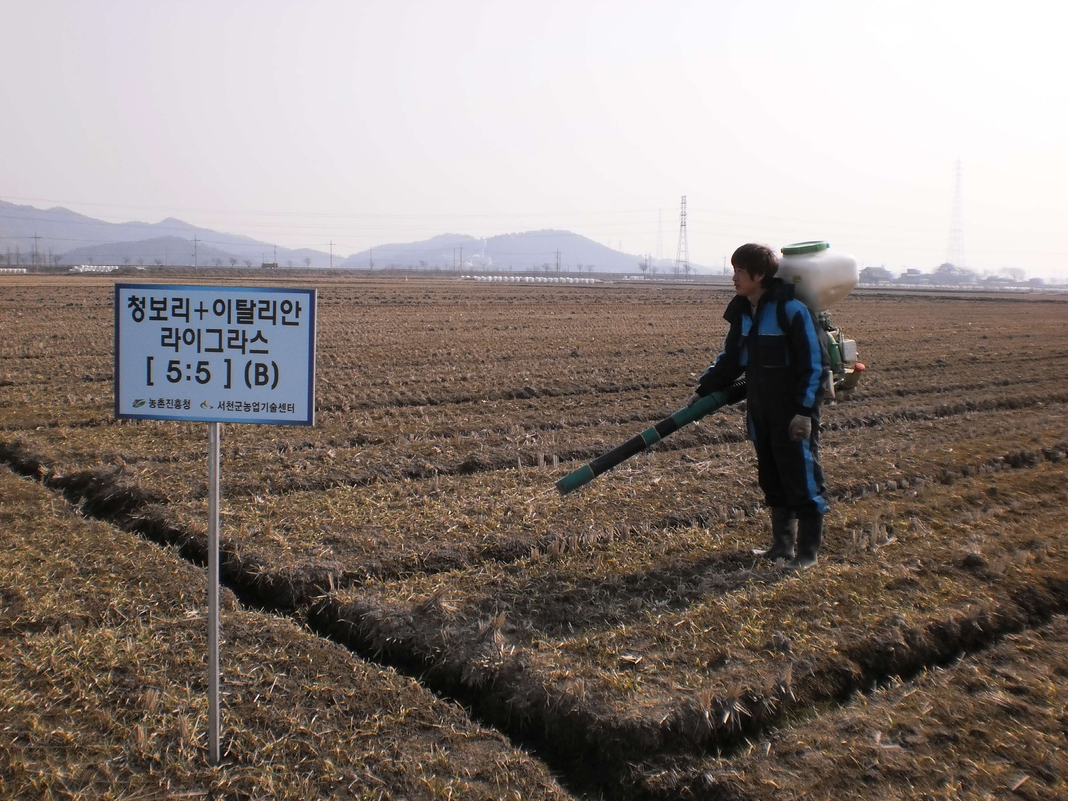 서천군, 월동작물 웃거름 적기시용 지도 나서
