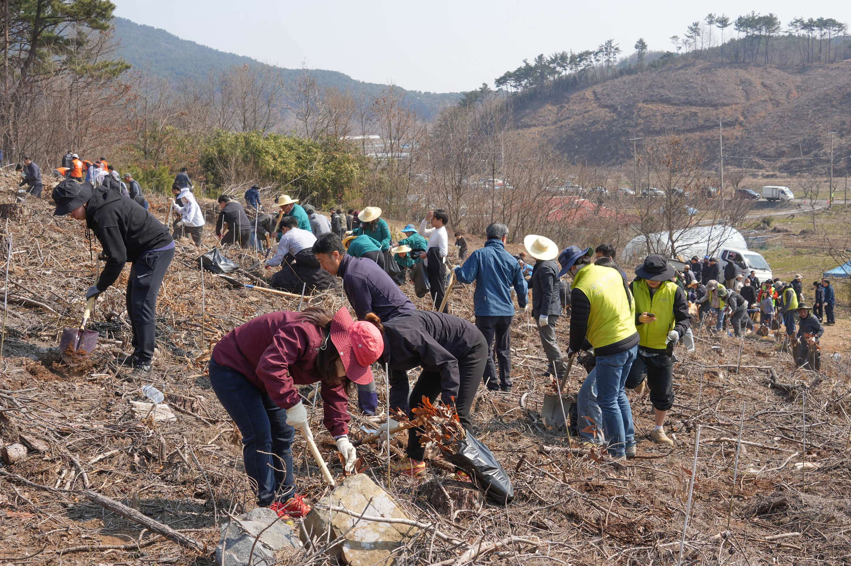 서천군, 제80회 식목일 기념 나무심기 행사 개최