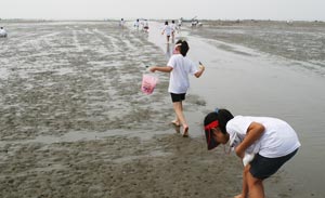 Tidal Flats