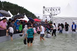 洪元港コノシロ·カニ祭り